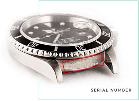 find my rolex serial number.